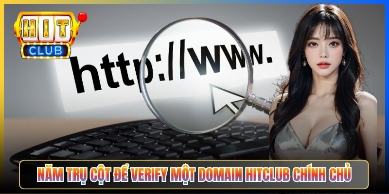 Năm trụ cột để verify một domain Hitclub chính chủ