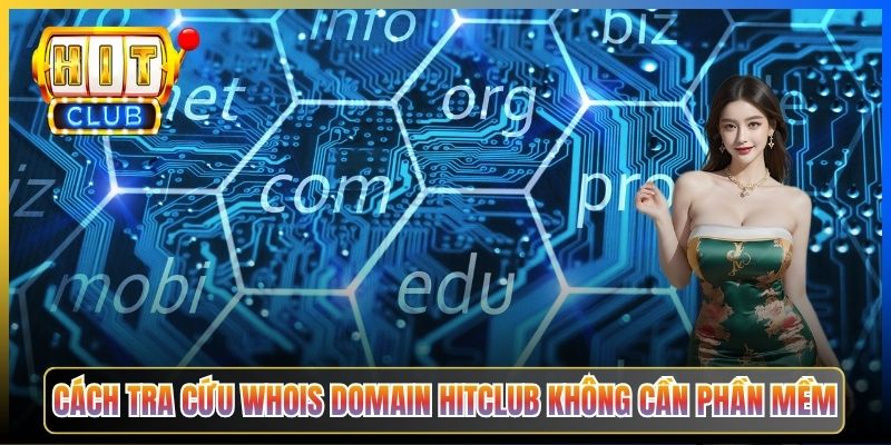 Cách tra cứu WHOIS domain Hitclub không cần phần mềm