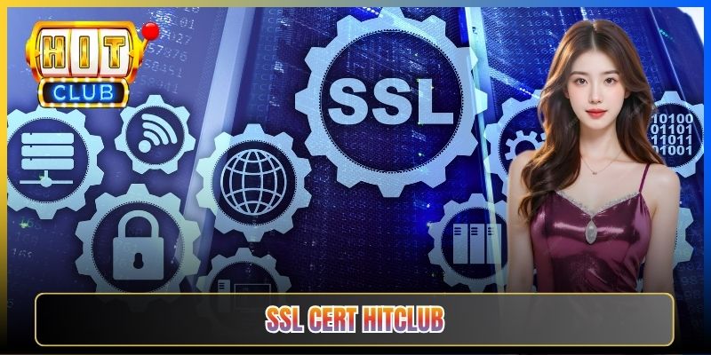 Link Hitclub — Taihit04 Đọc SSL Certificate Để Xác Thực Domain Gốc Hitclub