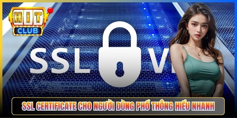 SSL certificate cho người dùng phổ thông hiểu nhanh