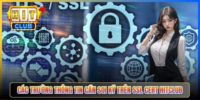 Các trường thông tin cần soi kỹ trên SSL cert Hitclub