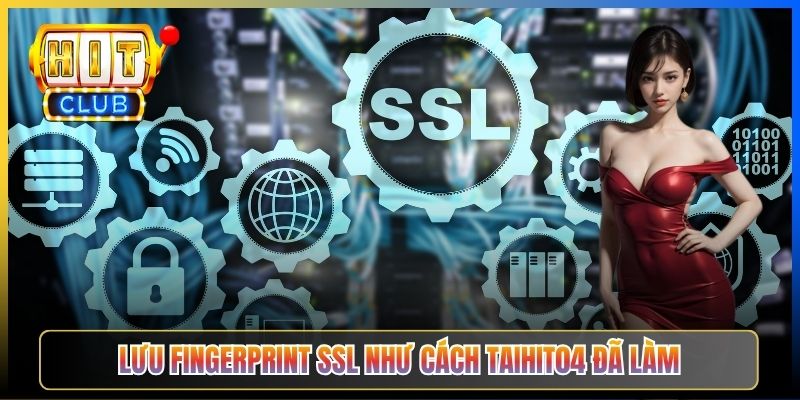 Lưu fingerprint SSL như cách Taihit04 đã làm