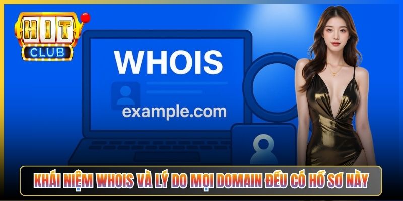 Khái niệm WHOIS và lý do mọi domain đều có hồ sơ này