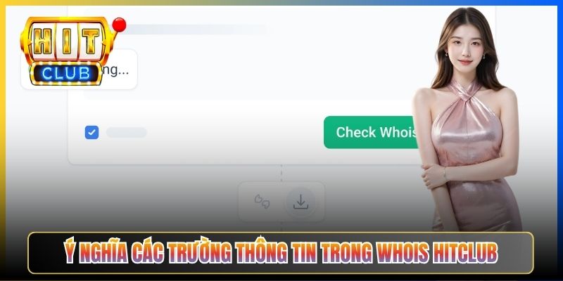 Ý nghĩa các trường thông tin trong WHOIS Hitclub