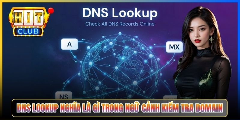DNS lookup nghĩa là gì trong ngữ cảnh kiểm tra domain