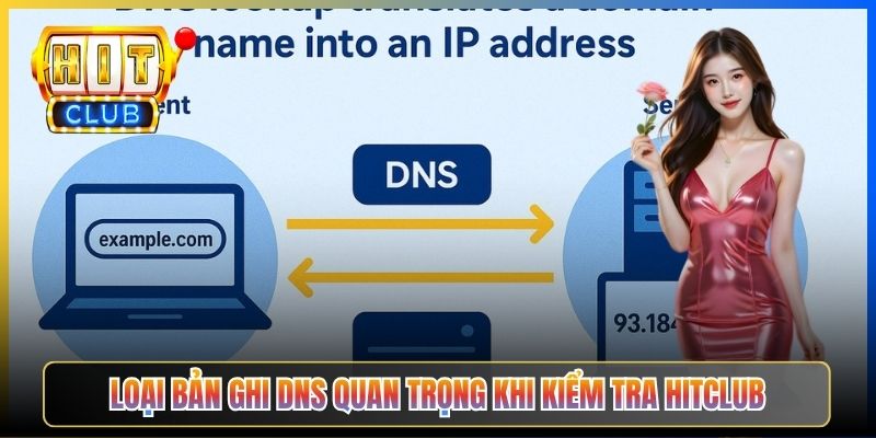 Loại bản ghi DNS quan trọng khi kiểm tra Hitclub