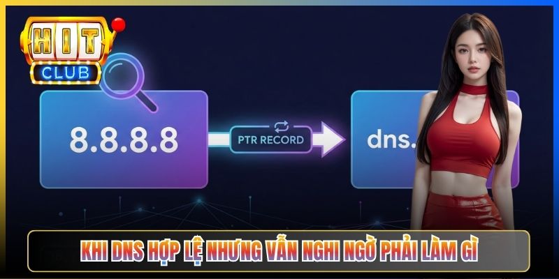 Khi DNS hợp lệ nhưng vẫn nghi ngờ phải làm gì