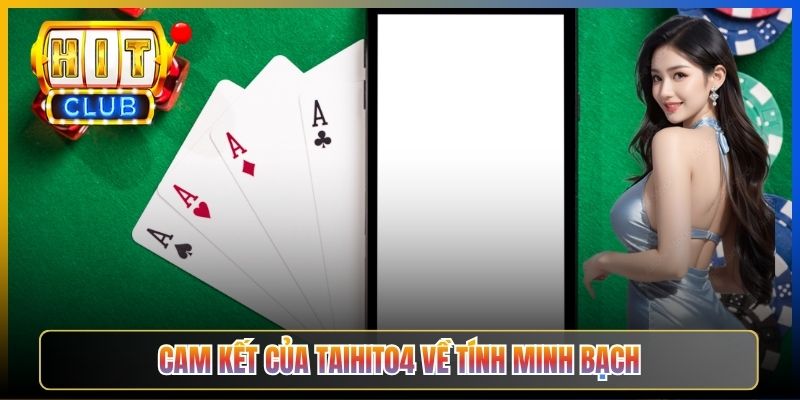 Cam kết của Taihit04 về tính minh bạch