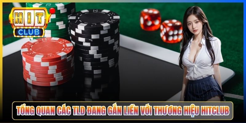 Tổng quan các TLD đang gắn liền với thương hiệu Hitclub
